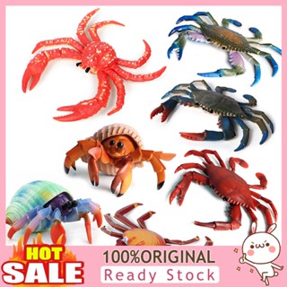 b_chlorine398 Simulation Hermit Crab Marine Animal PVC Model Desktop Decor Education Kids Toy