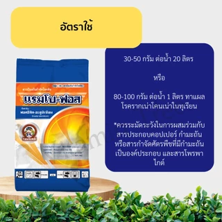 แรมโบ-ฟอส 1กิโลกรัม ฟอสอีทิล-อะลูมิเนียม 80% WG ป้องกันกำจัดโรคใบไหม้ โรคผลเน่า โรครากเน่าโคนเน่า โรคราน้ำค้าง โรคใบจุด