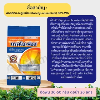 แรมโบ-ฟอส 1กิโลกรัม ฟอสอีทิล-อะลูมิเนียม 80% WG ป้องกันกำจัดโรคใบไหม้ โรคผลเน่า โรครากเน่าโคนเน่า โรคราน้ำค้าง โรคใบจุด