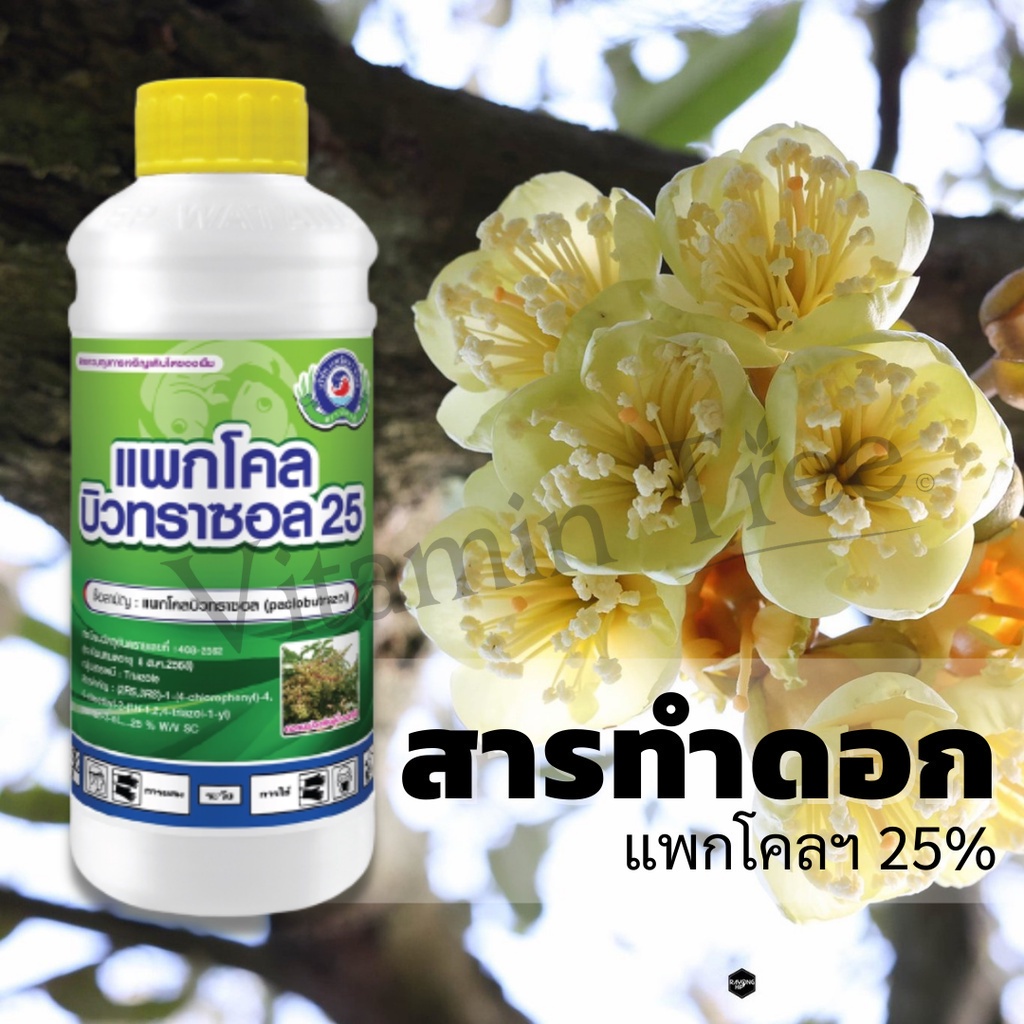 สารทำดอก นอกฤดู แพกโคลบิวทราซอล 25% 1L มะม่วง ทุเรียน ทำสาร นอกฤดู แพคโค ทะวาย