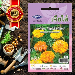 เมล็ดพันธุ์ ดาวเรือง เจียไต๋รุ่งเรือง Marigold seedเจียไต๋ 0.5 กรัม 156 เมล็ด