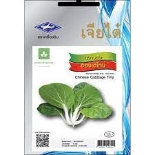 เมล็ดพันธุ์ กวางตุ้งฮ่องเต้ไทนี่ 2,100 เมล็ด PAK CHOY SEED เจียไต๋