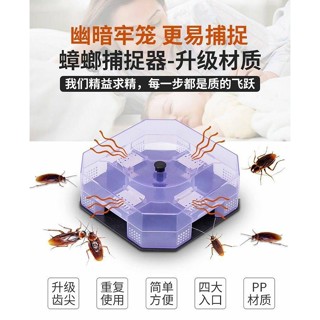 ส่งเร็ว⚡️ Cockroach trap box กล่องดักแมลงสาบ 4 ทิศทาง