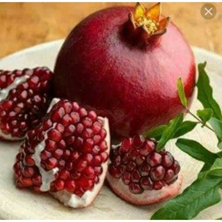 20 เมล็ด เมล็ดทับทิม (Pomegranate) สายพันธุ์ แดงอินเดีย ของแท้ 100% เปอร์เซ็นการงอก 70-80% Pomegranate Seed มีคู่มือปลูก