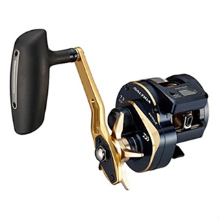 【Direct from Japan】 DAIWA 21 Sortiga IC 300H-SJ