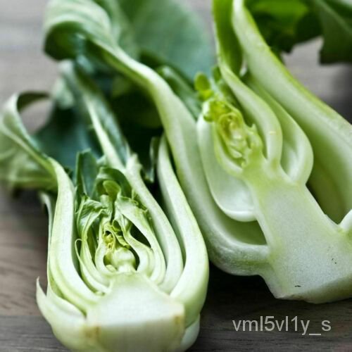 เมล็ด 2000 bok Choy Canton White seeds โรงงานผักเอเชียจำนวนมาก Choi ต้นอ่อน