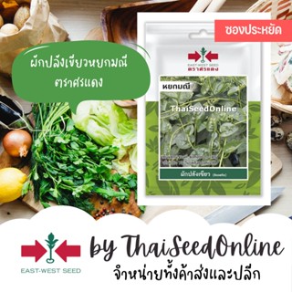 อินทรีย์็ด ใหม่็ด VP3 ใหม่ ใหม่ปลังเขียว หยกมณี 50ใหม่็ด ตราศรแดง Ceylon Spinach Malabar spinach ใหม่ ง่าย