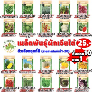 （เมล็ด）เจียไต๋#8 [10การ1 เลือกของการการ] การผักสวนครัว เจียไต๋25฿ การที่8 เ/งอก ปลูก/งอก  การ