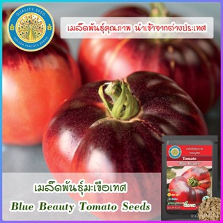 เมล็ด ใหม่็ด ใหม่เพาะเทศ (Blue Beauty Tomato Seeds) ใหม่ เพาะ