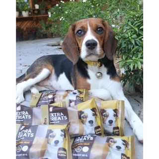 ขนมสุนัข Extra Treats ไม่ปรุงรส ไม่มีน้ำตาล เกลือ สารปรุงแต่งกลิ่น ขนมน้องหมา ขนมหมา ขนมสำหรับสุนัข คุกกี้สุนัข