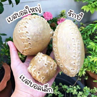 ลูกบอลสำหรับขัดฟัน ทำจากหนังวัว แทะเล่นได้ สนุก ขัดฟันสุนัข รักบี้ ขนมขัดฟันสุนัข