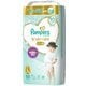 Pampers แพมเพิร์ส กางเกงกระดาษ l 50 ch0044