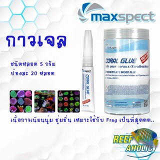 Reef-Aholic Maxspect Coral Glue 5g  กาวเจลติดปะการัง ใช้ได้ในทุกสภาวะ จะในน้ำหรือบนบก ติดแล้วแฟรกชอบ