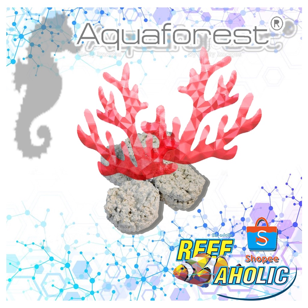 Aquaforest Frag Rocks ฐานแฟรกขาว/ดำ 24 ชิ้น