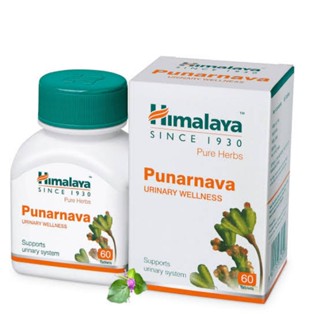 Preferred Himalaya Punarnava 60 เม็ด สมุนไพรดูแลไต