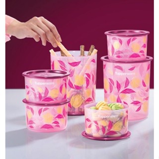 Tupperware กล่องวันทัชพิเทล Petel(1ใบ) ลายกลีบดอกไม้สวยหวาน รุ่นที่ฝาแน่นที่สุด