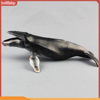 &lt;Bolilishp&gt; โมเดลตุ๊กตาปลาวาฬ ของเล่นสําหรับเด็ก