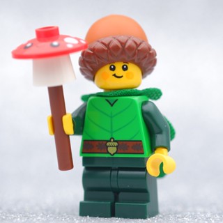 LEGO Forest Elf Series 22 - MINIFIGURE SERIES LEGO เลโก้ มินิฟิกเกอร์ ตัวต่อ ของเล่น