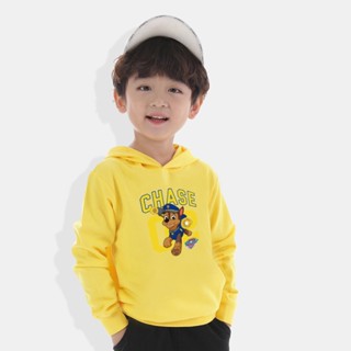 เสื้อกันหนาวแขนยาวผ้าฝ้าย 100% ลายการ์ตูน Paw Patrol 4 สีสําหรับเด็ก