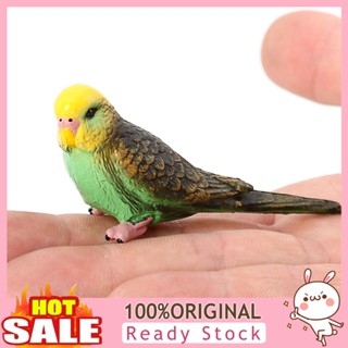 [B_398] Cute Forest Parrot Mini Model Miniature Landscape Garden Decor