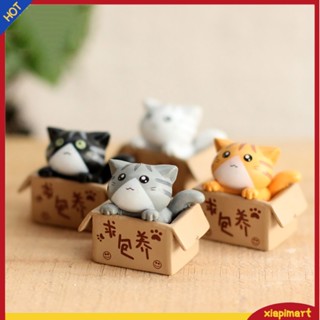 &lt;xiapimart&gt; Lovely Box Cartoon Cat Miniature Landscape Decor Bonsai Resin Crafts Ornament