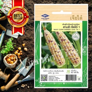 เมล็ดพันธุ์ ข้าวโพด ข้าวเหนียวสามสี เจียไต๋1 CORN SEED เจียไต๋