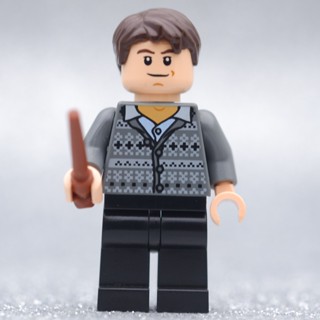 LEGO Neville Longbottom Fair Isle Sweater Harry Potter