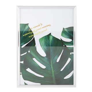 กรอบรูป PTS MONSTERA 11.7X16.5 นิ้ว (A3) สีเงิน