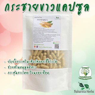 **เจ้าเก่าลิ้งค์ใหม่** กระชายขาว ขนาด 50 / 100 แคป (1เม็ด 500 มก.) สมุนไพรไทยแท้ 100% พร้อมส่ง