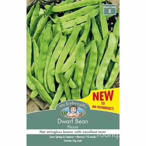 Mr.fothergills Dwarf Bean Plaza