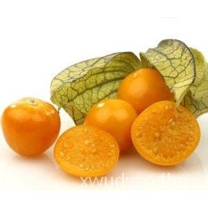 （เมล็ด）เมล็ดแคปกูสเบอรี่ - Cape gooseberryหรือโทงเทงฝรั่ง/งอก ปลูก/งอก เมล็ด/งอก มะระ