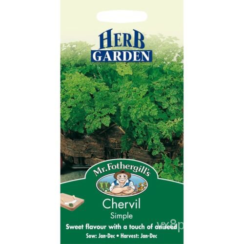 เมล็ด Mr Fothergills ต้นอ่อนผักในบ้านของคุณ Herb Garden Simple Chervil Seeds ต้นอ่อน