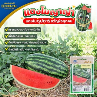 อินทรีย์็ด อินทรีย์็ด อินทรีย์็ดบาทโม ญาญ่า WATERMELON YAYA ตราเจียไต๋ อินทรีย์บาทโม บาทโมญ่าญ่า อินทรีย