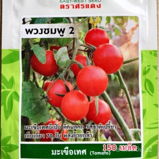 อินทรีย์็ด อินทรีย์็ด ง่ายเทศ พวงชมพู2 ทำส้มตำ ประมาณ50อินทรีย์็ด ง่าย