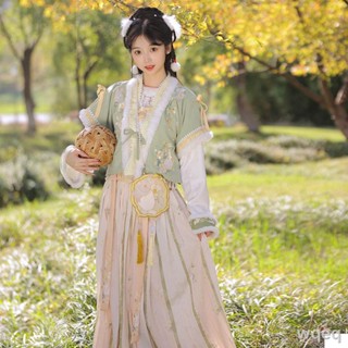 กระโปรง Tang Beizi ของผู้หญิง Hanfu ที่ผลิตโดยถังบวกกับกำมะหยี่หนาและผอมบางเหมาะกับฤดูใบไม้ร่วงและฤดูหนาวทุกวัน