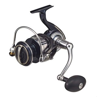 DAIWA CERTATE ม้วนหมุน SW 8000-H fs0517