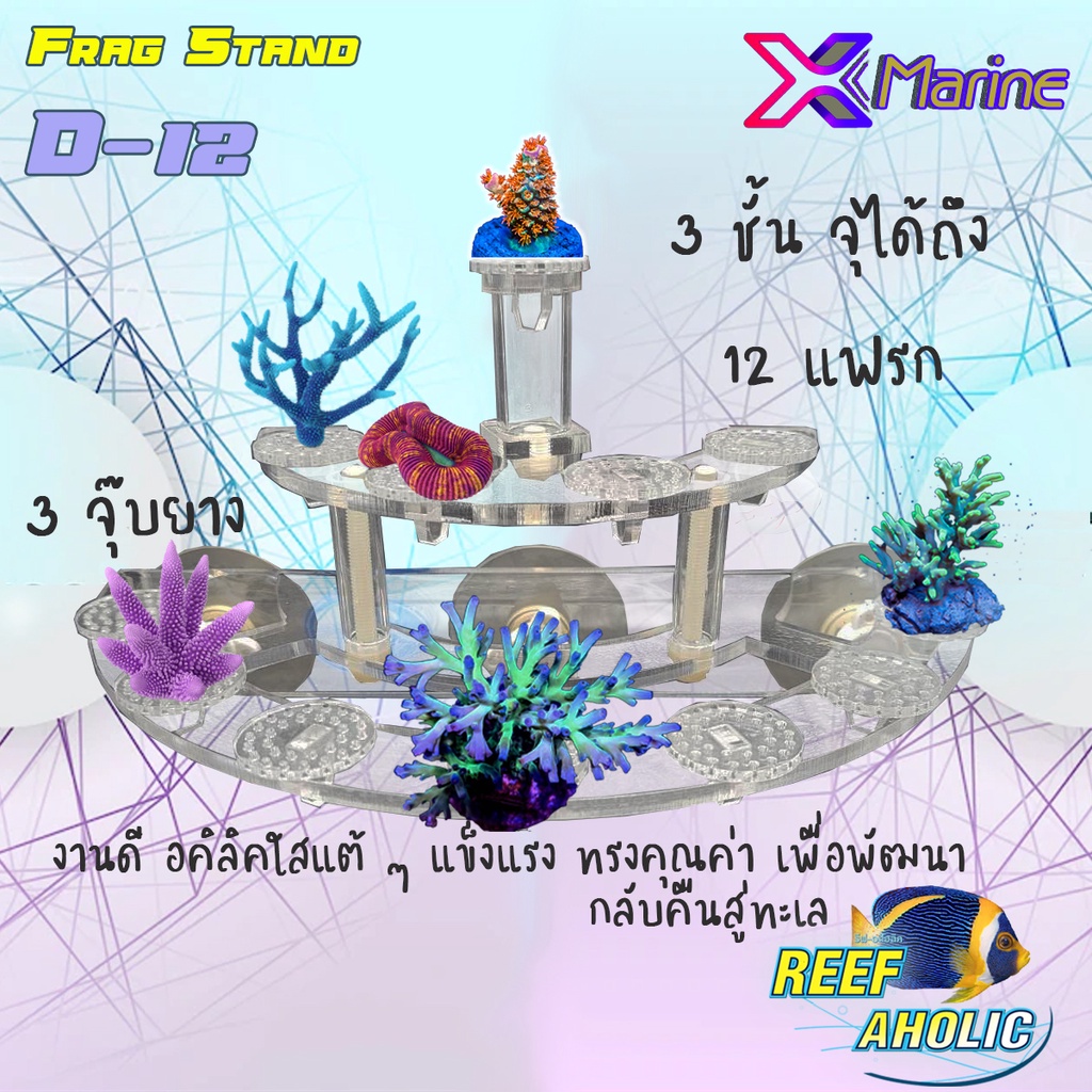 X-Marine Frag Stand D-12 ชุดแฟรก อคิลิคพร้อมฐานแฟรก ติดแน่นด้วยจุ๊บถึง 3 อัน ทำทางระบายน้ำได้ดี