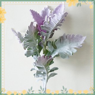 ✿Senecio Cineraria พืชปลอม พร็อพถ่ายรูป DIY สําหรับตกแต่งบ้าน ออฟฟิศ 1 ชิ้น