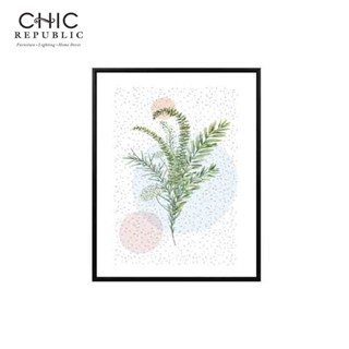 CHIC REPUBLIC CINDAL-B/40x50,ภาพติดฝาผนัง  – สี หลากสี