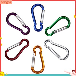 (Bologna) ตะขอพวงกุญแจอลูมิเนียมรูป D Carabiner 2 ชิ้น