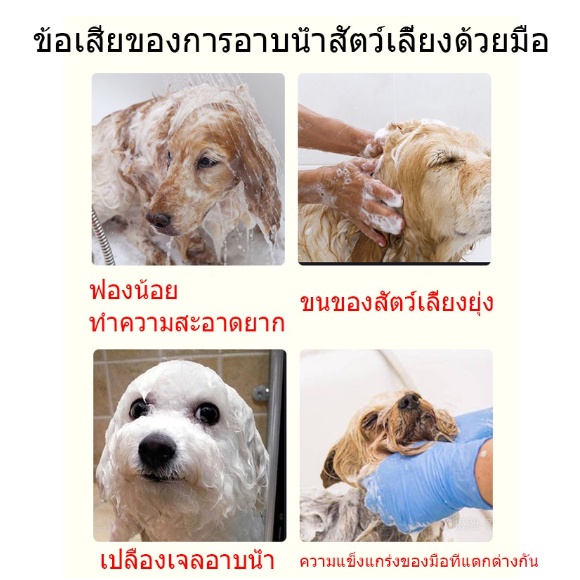 รูปภาพ 5