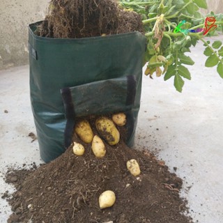 【AG】Potato Tomato Vegetable Cultivation Bags Plant Growing Container Tool