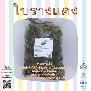 ใบรางแดงอบแห้ง ขนาด100กรัม ใช้เป็นชาหรือประกอบอาหาร สินค้าพร้อมส่ง (BAANNAHARITTA HERB)