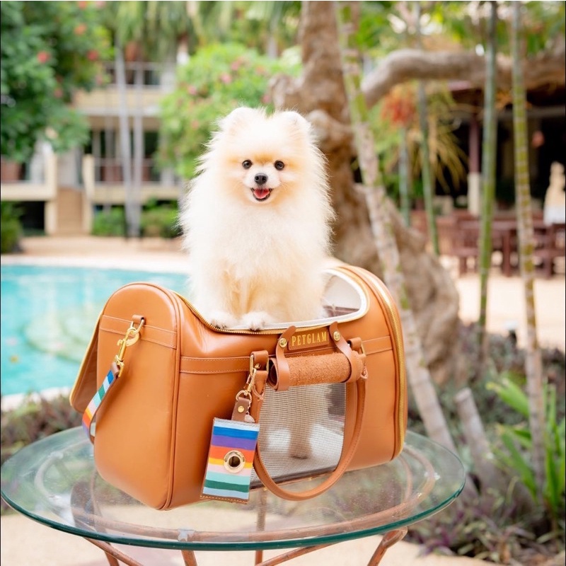 กระเป๋าใส่สัตว์เลี้ยงหนังแท้รุ่น CarryMe