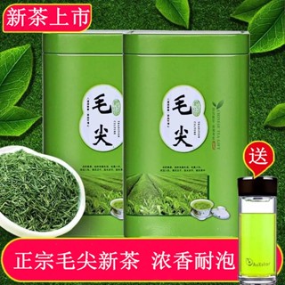 ❁ชา Maojian 2023 ชาใหม่กลิ่นหอม Yuqianchun ชา Maojian ชาเขียวชาใหม่ 125g-500g ของขวัญกระป๋อง