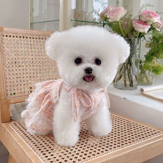 ✤☁เสื้อผ้าสัตว์เลี้ยงฤดูใบไม้ผลิและฤดูร้อนใหม่ชีฟองกระโปรงแขวน Teddy bichon สุนัขแมวเสื้อผ้าเสื้อกั๊กบาง