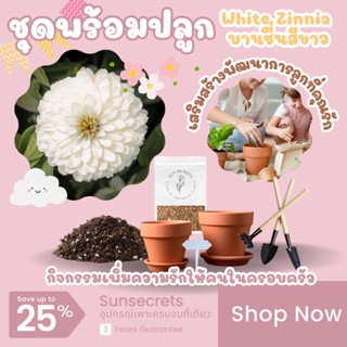 ☀️sunsecrets🍀 ชุดพร้อมปลูกเมล็ดบานชื่นสีขาว(Zinnia Zydeco White Seed)