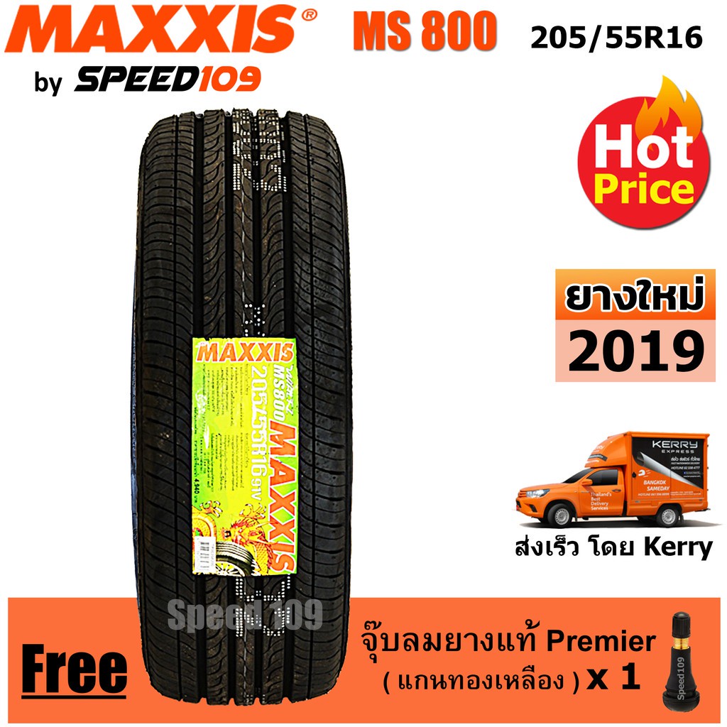 Maxxis ยางรถยนต์ รุ่น MS 800 ขนาด 205/55R16 - 1 เส้น (ปี 2019)