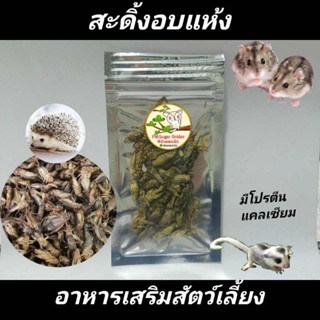 ขนมแฮมส์เตอร์ อาหารชูก้า อาหารแฮมส์เตอร์ ขนมสัตว์เลี้ยง สะดิ้งอบแห้ง ห่อละ5บาท