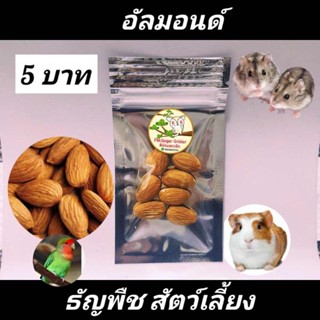 ขนมแฮมส์เตอร์ ขนมชูก้า อาหารแฮมส์เตอร์ ขนมสัตว์เลี้ยง เม็ดอัลมอนด์ ห่อละ5บาท